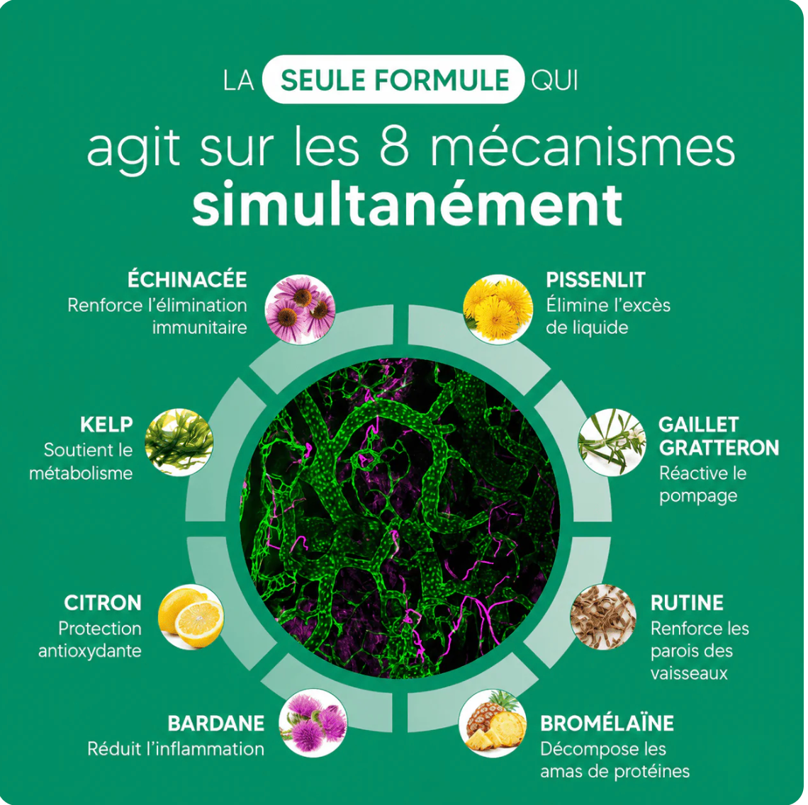 Gélules de Drainage Lymphatique · Transformation totale en 60 jours